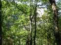 2018-09-17 12-16-10 Rando Combas FGn